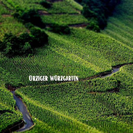 Apartment Weingut Dr Hermann I Erden エクステリア 写真
