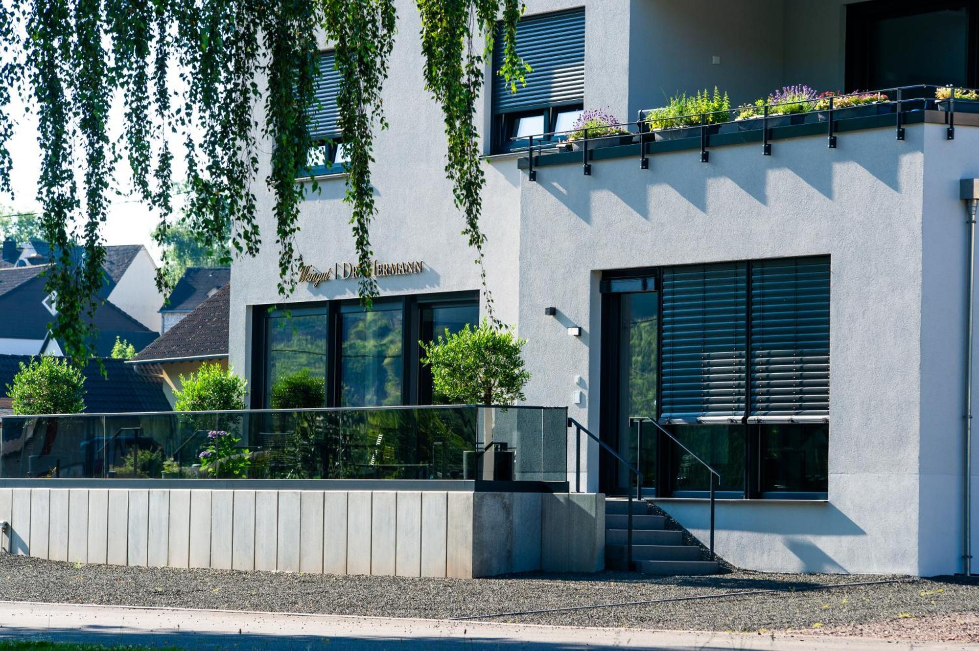 Apartment Weingut Dr Hermann I Erden エクステリア 写真