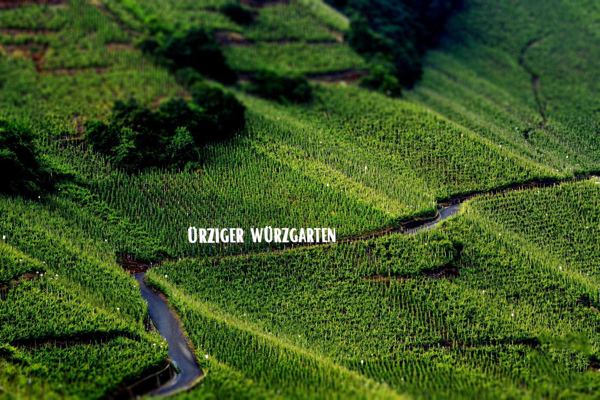 Apartment Weingut Dr Hermann I Erden エクステリア 写真